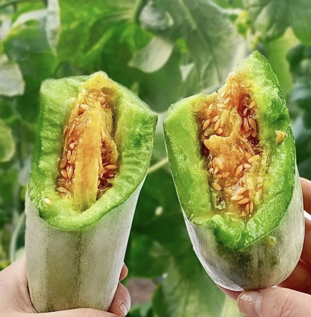 【正宗头茬】山东寿光羊角蜜甜瓜高产脆甜多汁新鲜水果当季香瓜