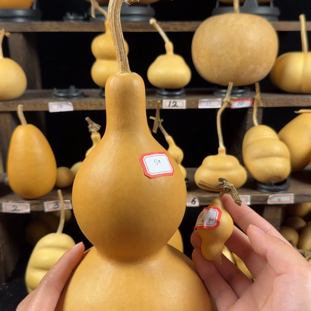 小***9葫芦葫芦葫芦葫芦葫芦葫芦葫芦