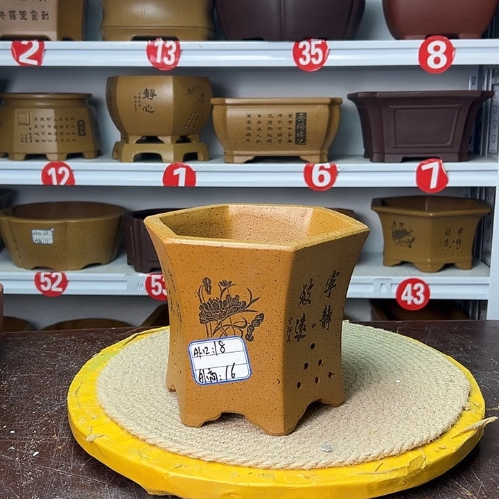 紫砂花盆你在一起