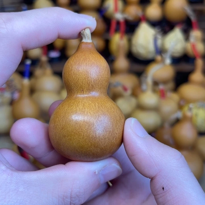 厚皮响籽老皮小美19