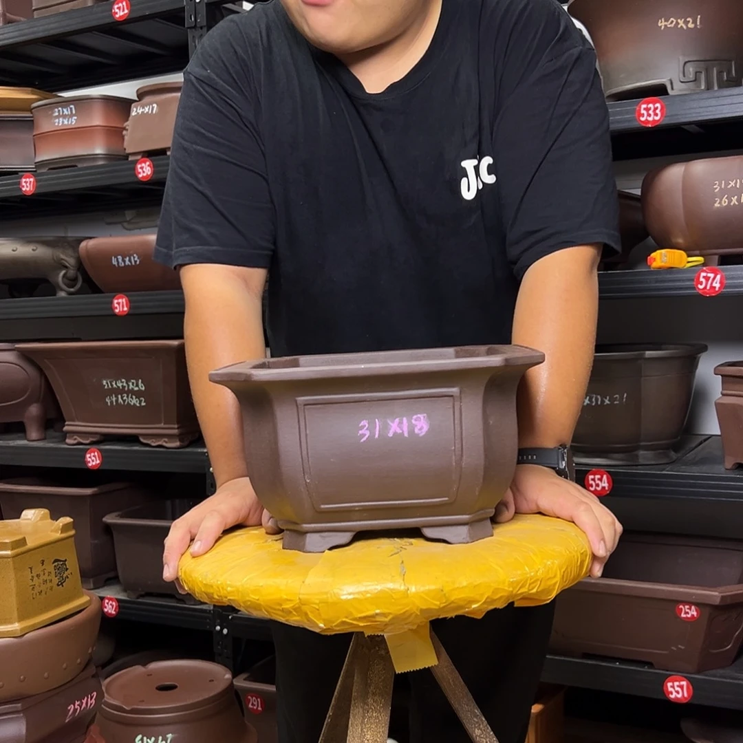 紫砂花盆呜呜呜呜呜我的