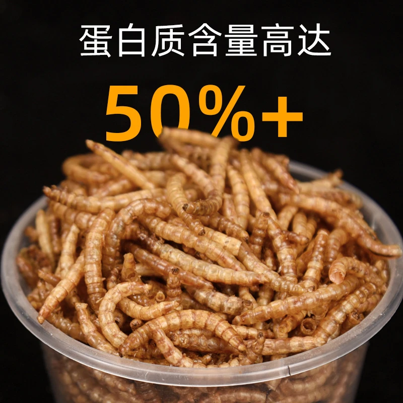 仓鼠金丝熊鹦鹉鸟刺猬鸟用品干黄粉虫龟养乌龟零食饲料粮食主粮