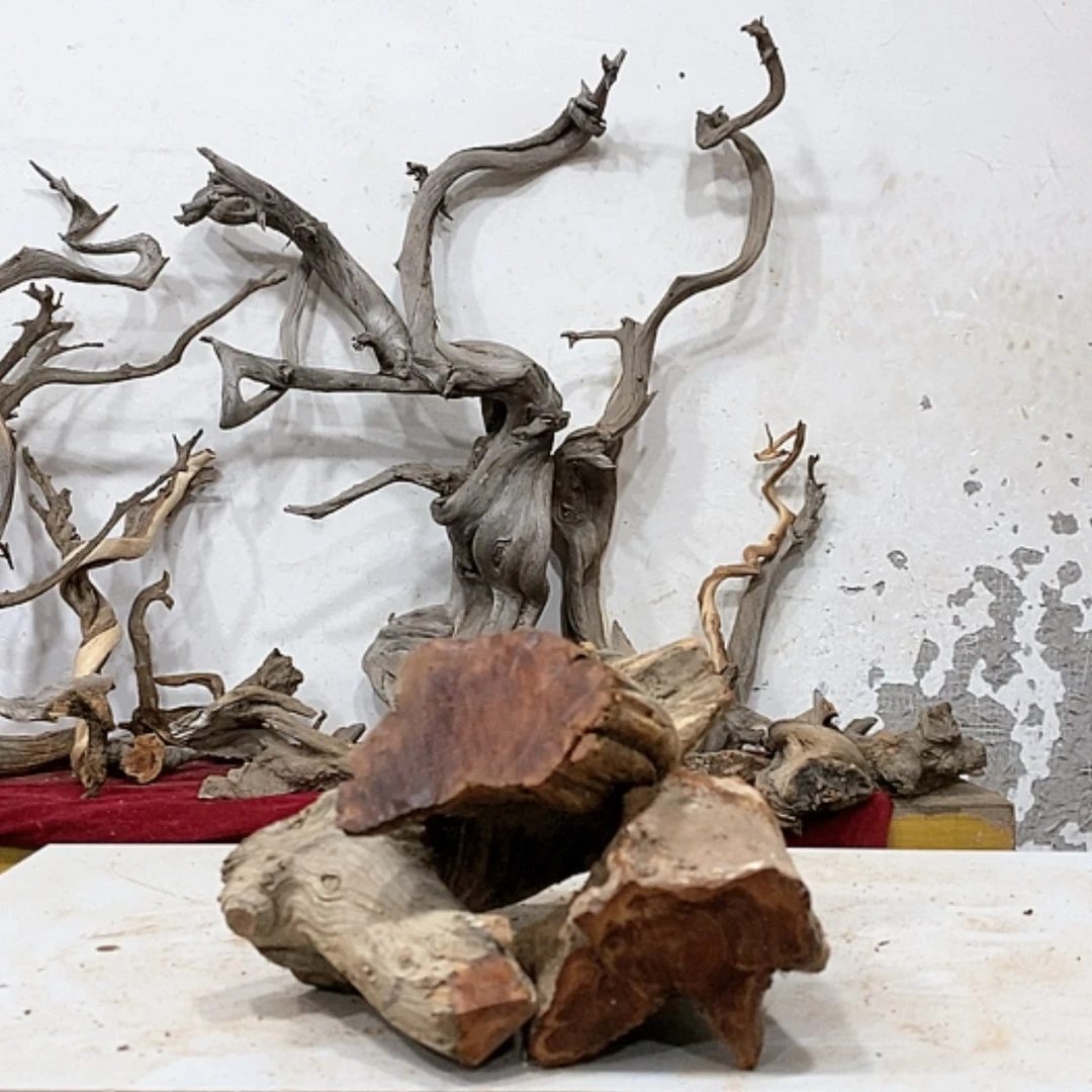 【闪购商品】柏木新*仔我们都是好孩子