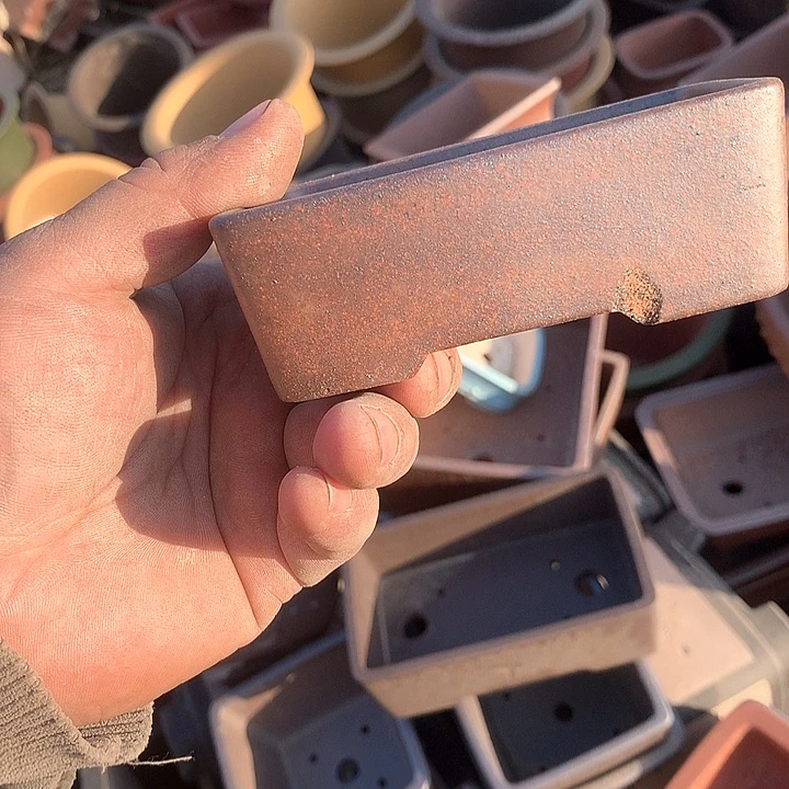 紫砂优秀青年科技人才培养的