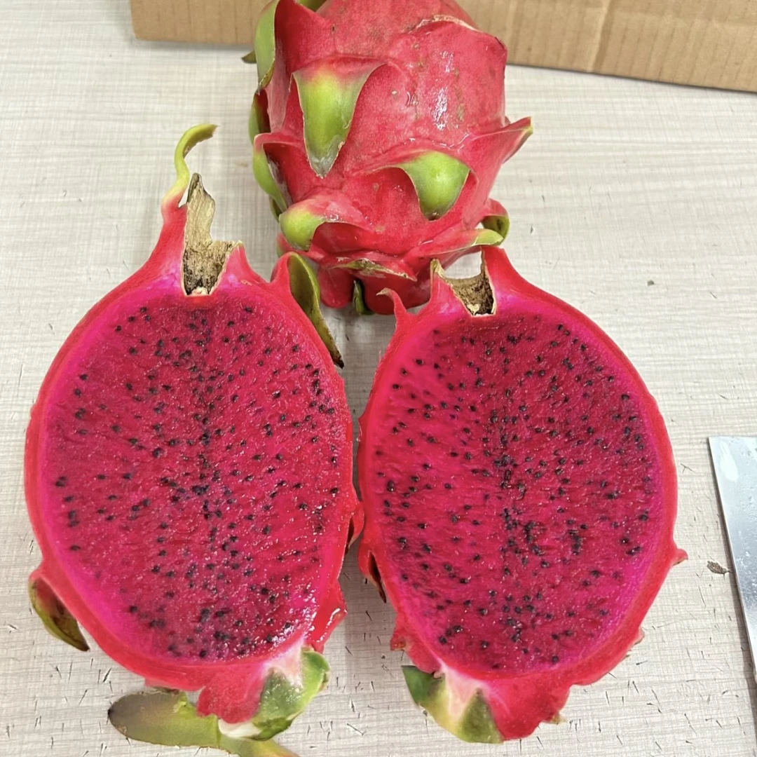 红心火龙果大果一个