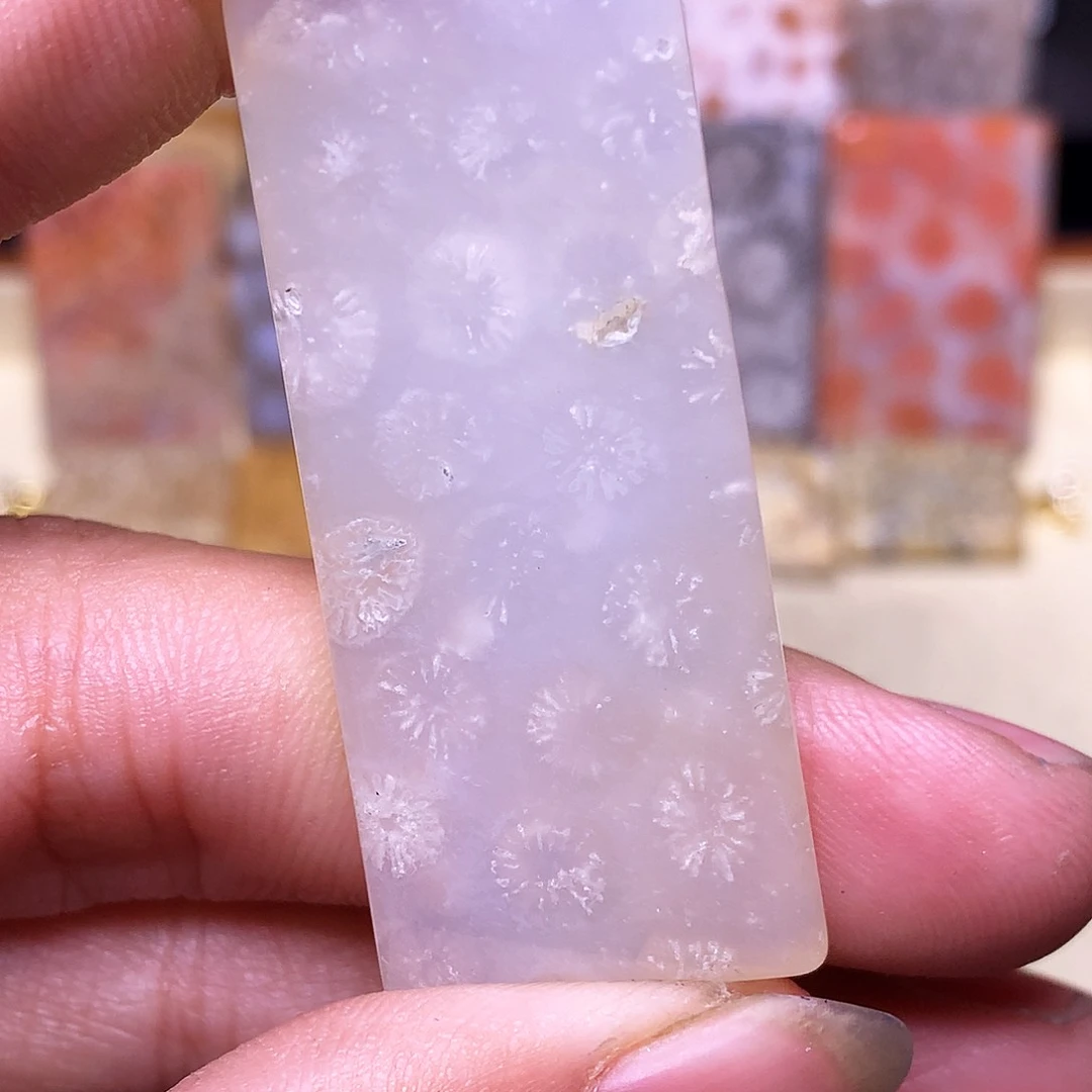 硅化玉珠宝奇石合金紫**林