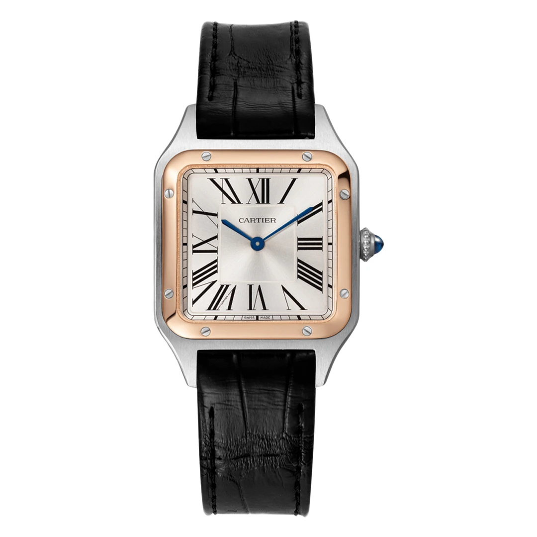 99新 Cartier/卡地亚 山度士系列W2SA0012腕表/WHP032264