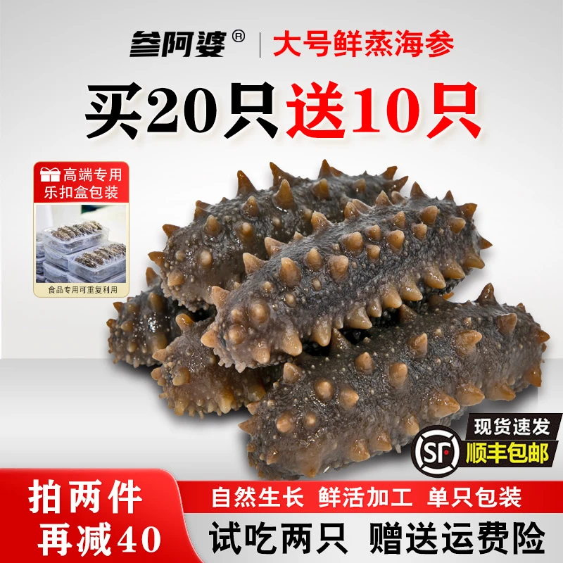【丰收节】参阿婆大号鲜蒸即食海参买20只送10只 8-9厘米15只/盒 S6
