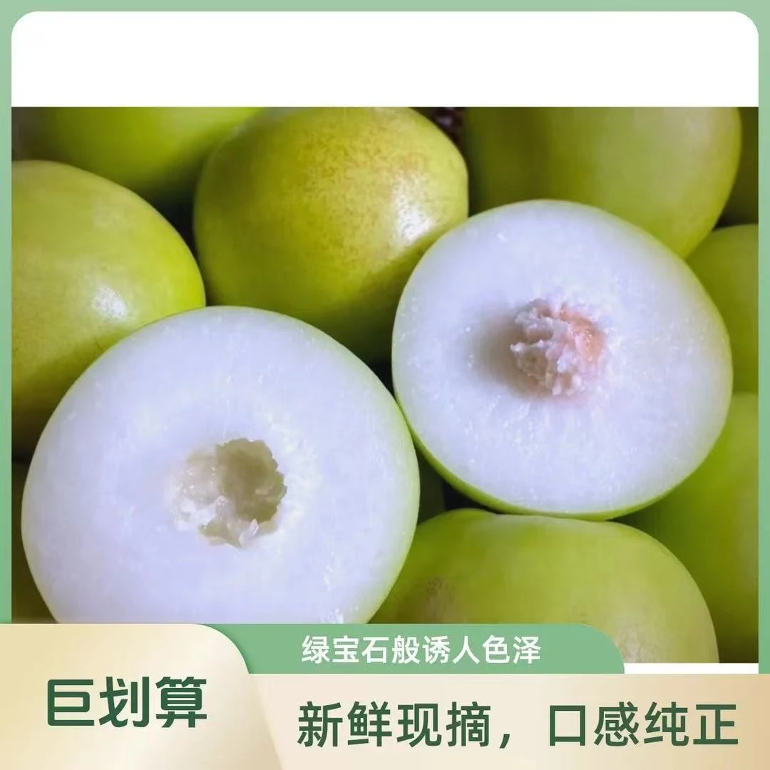 西双版纳热带水果苹果枣甜香酥脆皮薄肉厚多汁