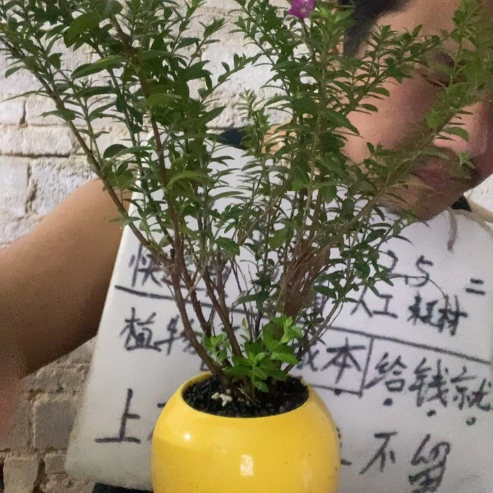 退款拉黑一物一拍13
