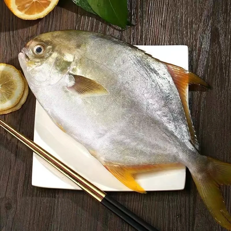 冻品金仓鱼鲳肉质肥美 新鲜美味 鱼每条6-8两左右300G-400G/条 到手7条