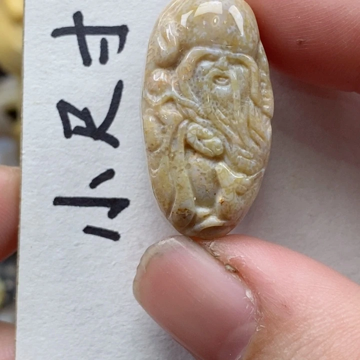 颈饰未镶嵌硅化珊瑚（珊瑚玉）
