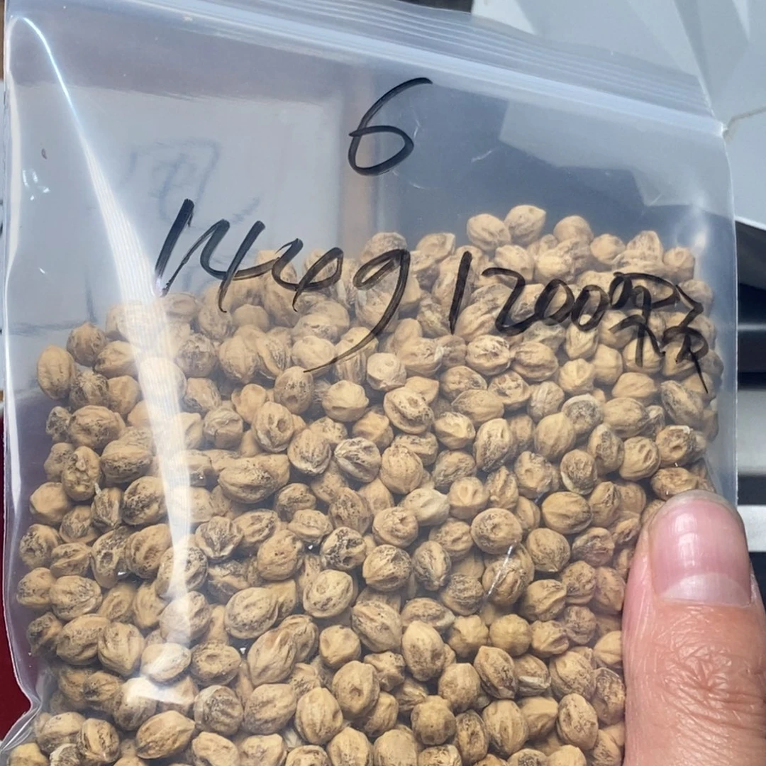 柏香籽/百香籽吊坠