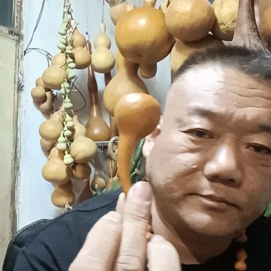 标准器形葫芦6666