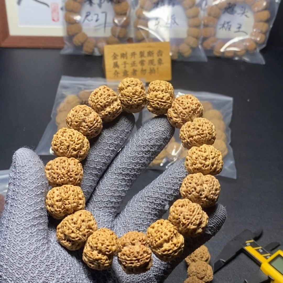 菩提金刚菩提200号