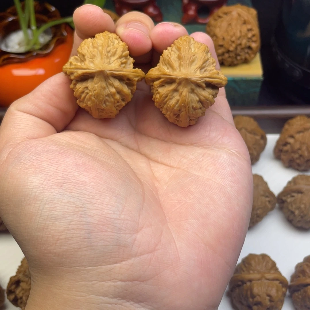 文玩核桃把件野狼