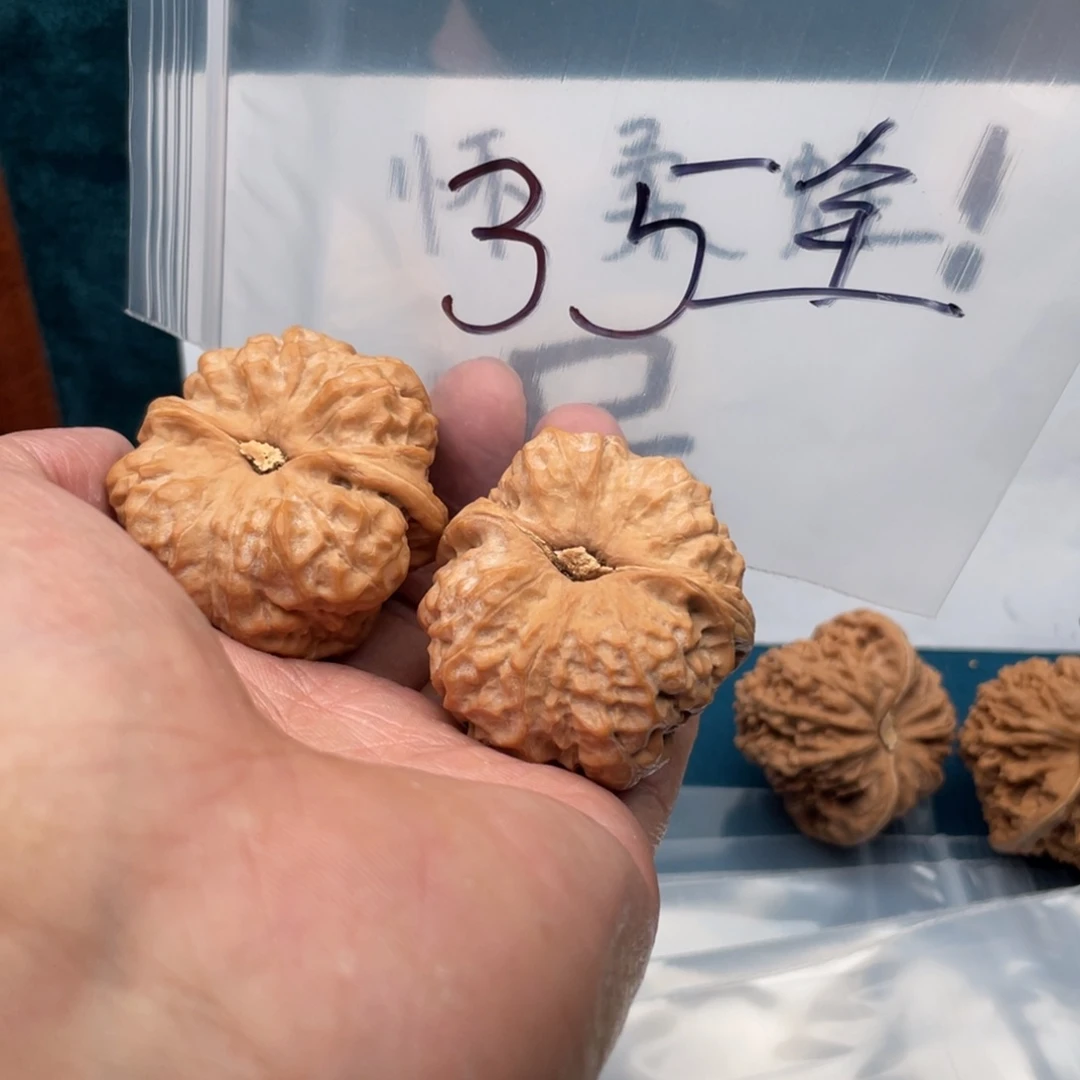 567576537753537735753753