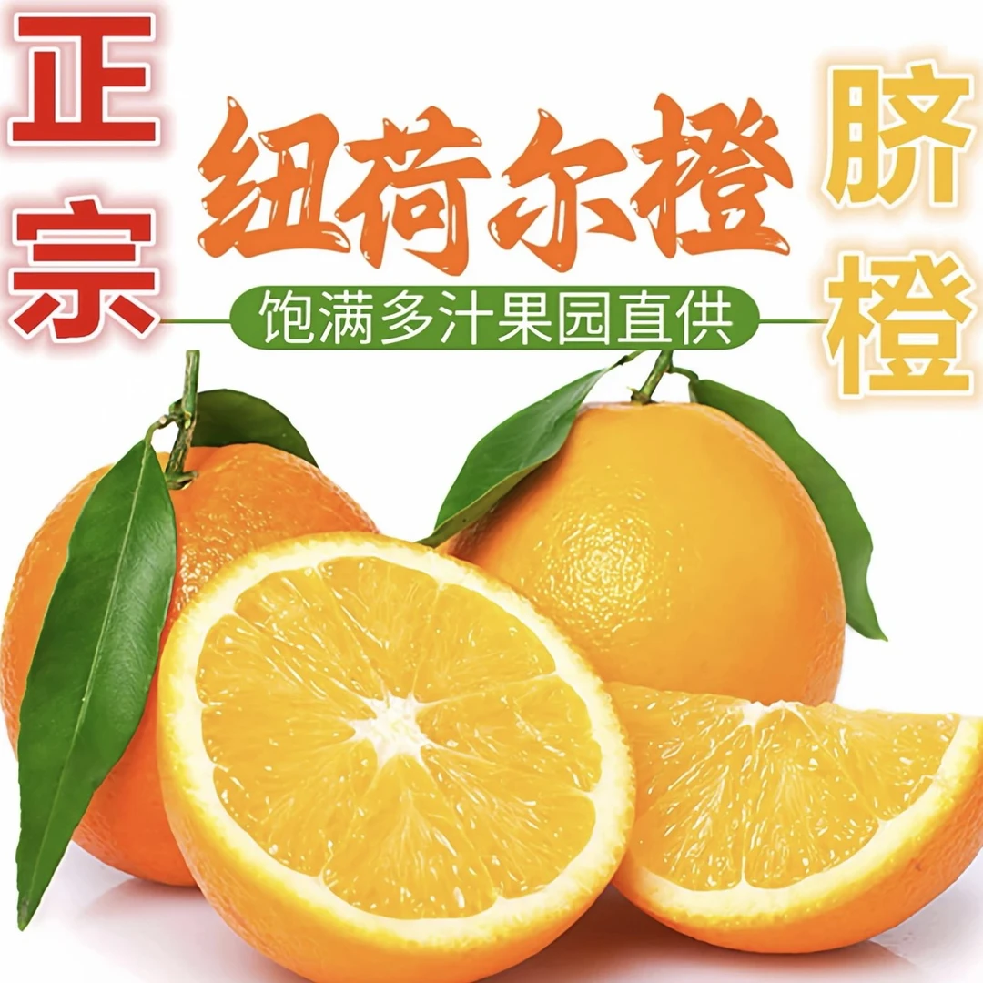 重庆高山脐橙现摘现发新鲜应季酸甜可口水果