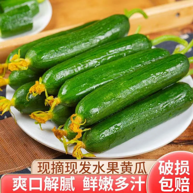 【彩味堂】水果黄瓜2斤装新鲜黄瓜同城送黄瓜同城配水果黄瓜