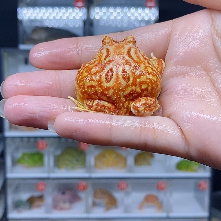 特价秒杀现货特价