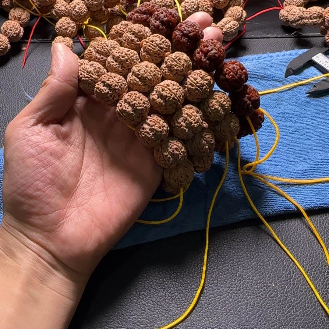 金刚菩提手串19尺寸霸王龙