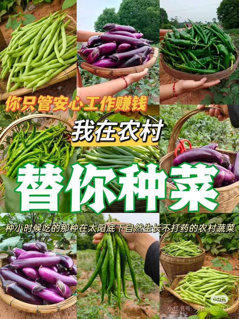 贵州农特产 瓜果 蔬菜 干货