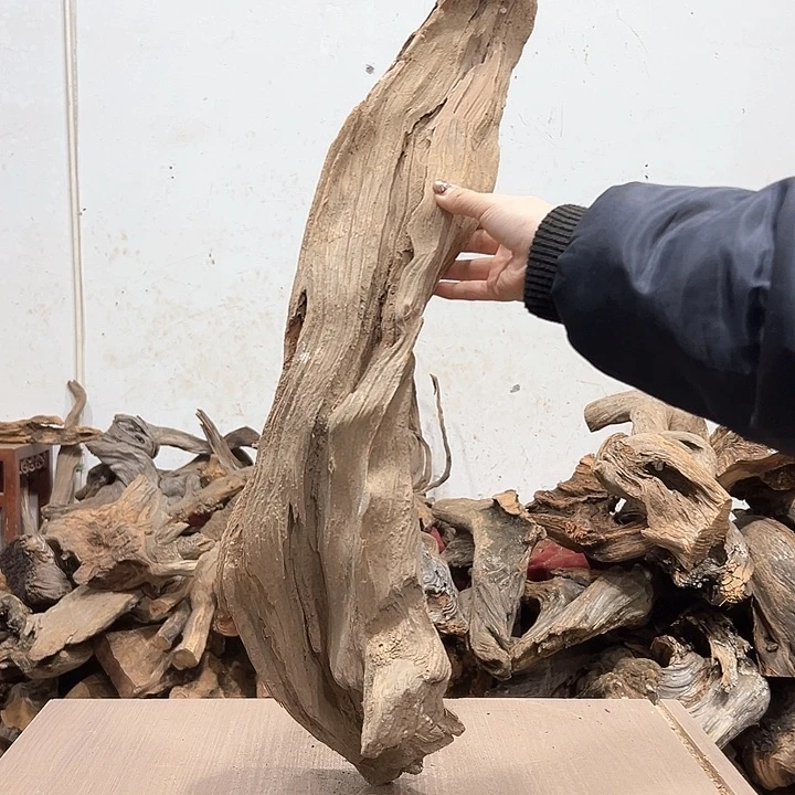 柏木就**语我们的生活是以自己为中心而