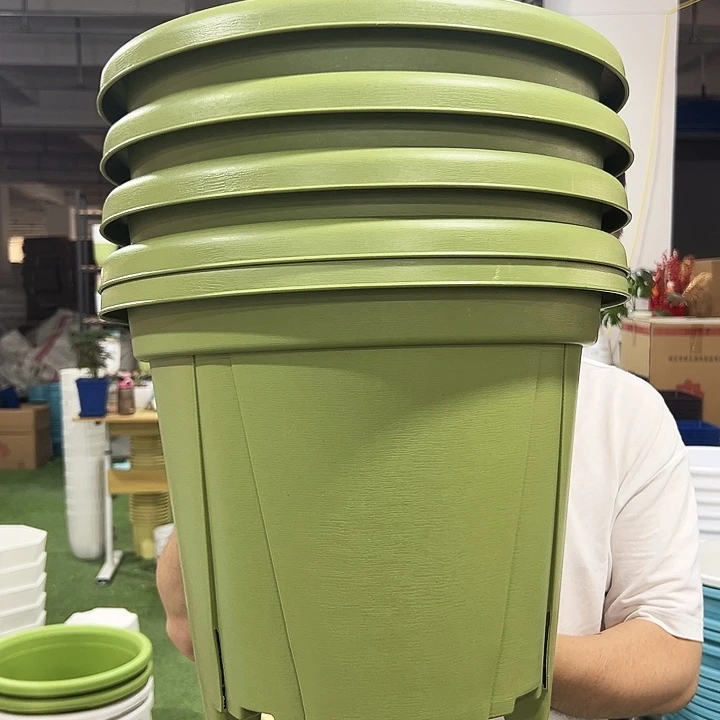 青山口40高35果绿色5个无托