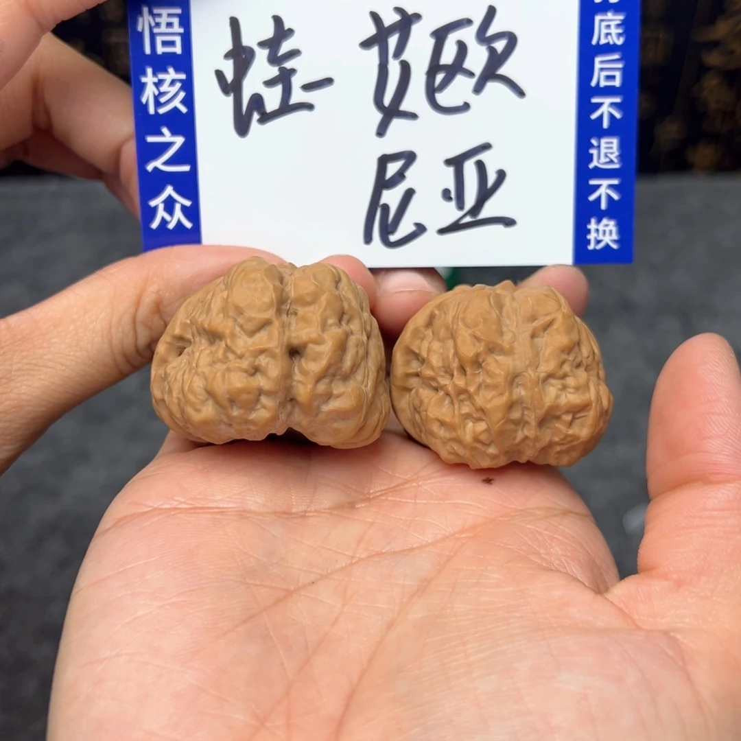 文玩核桃把件艾**亚蛤蟆头