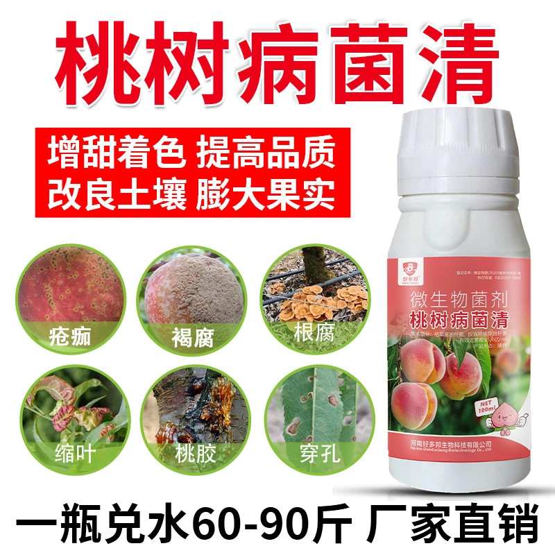 桃树病菌清专用桃树流胶穿孔卷叶炭疽疮痂灰霉提质增收微生物菌剂