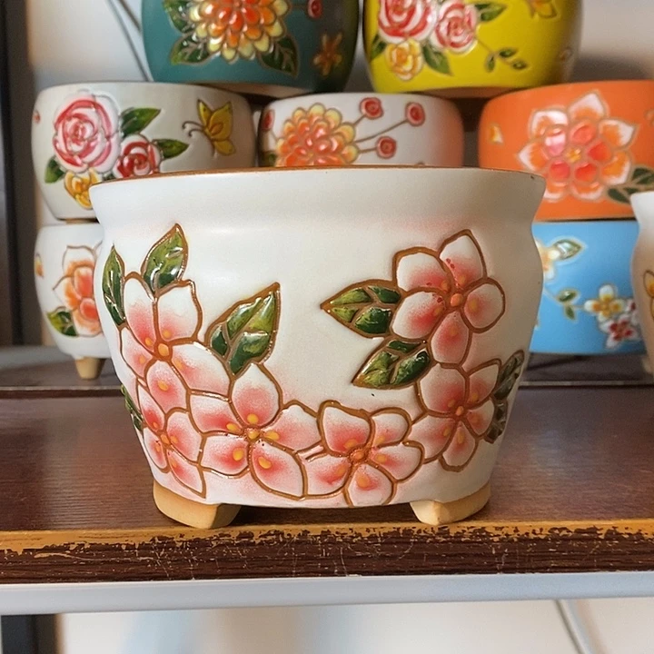 韩式多肉植物花盆