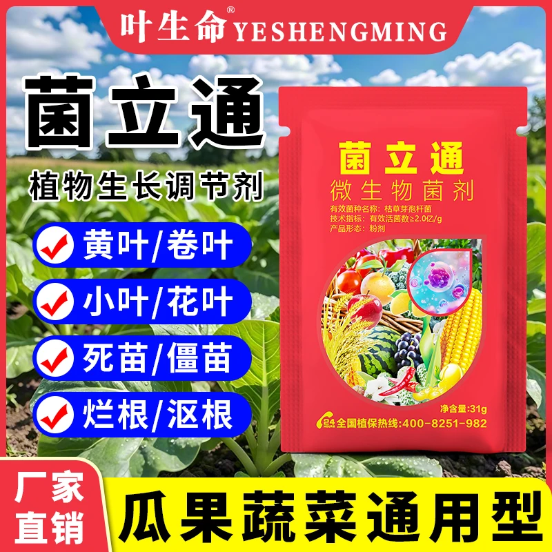 蔬菜通用肥料家庭种菜黄瓜西红柿豆角白菜大葱果蔬绿植通用肥料