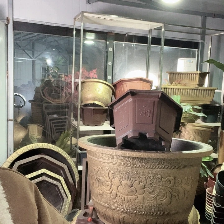 40八角5个99元包邮