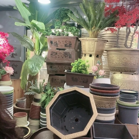 红陶盆景制作方法