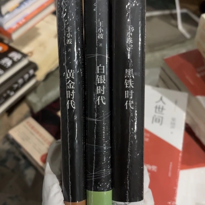 王小波 闪购闪购三本28