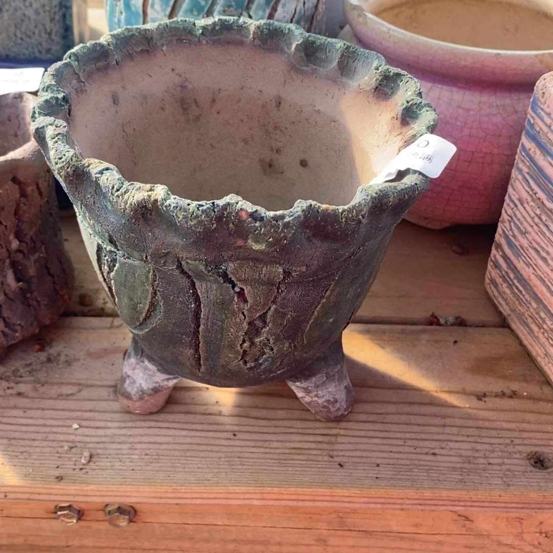 80号多肉盆口径11