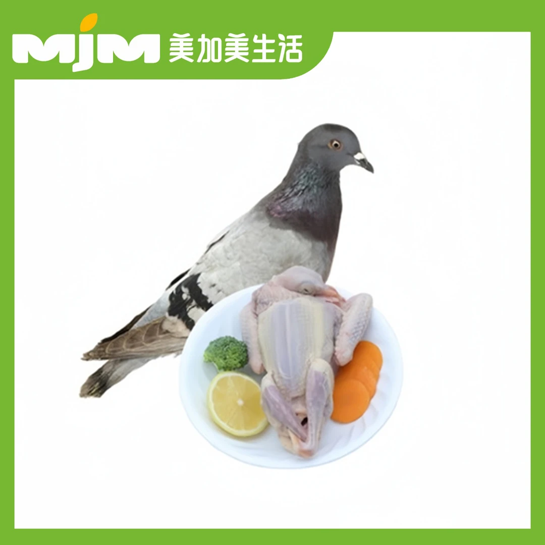 精品乳鸽（杀好6-7两）