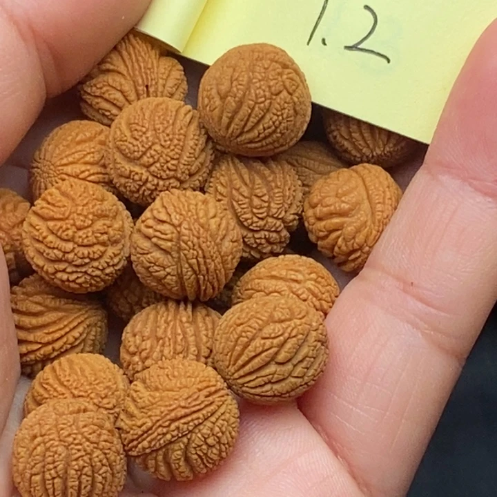 自***由秦岭龙纹桃核20颗