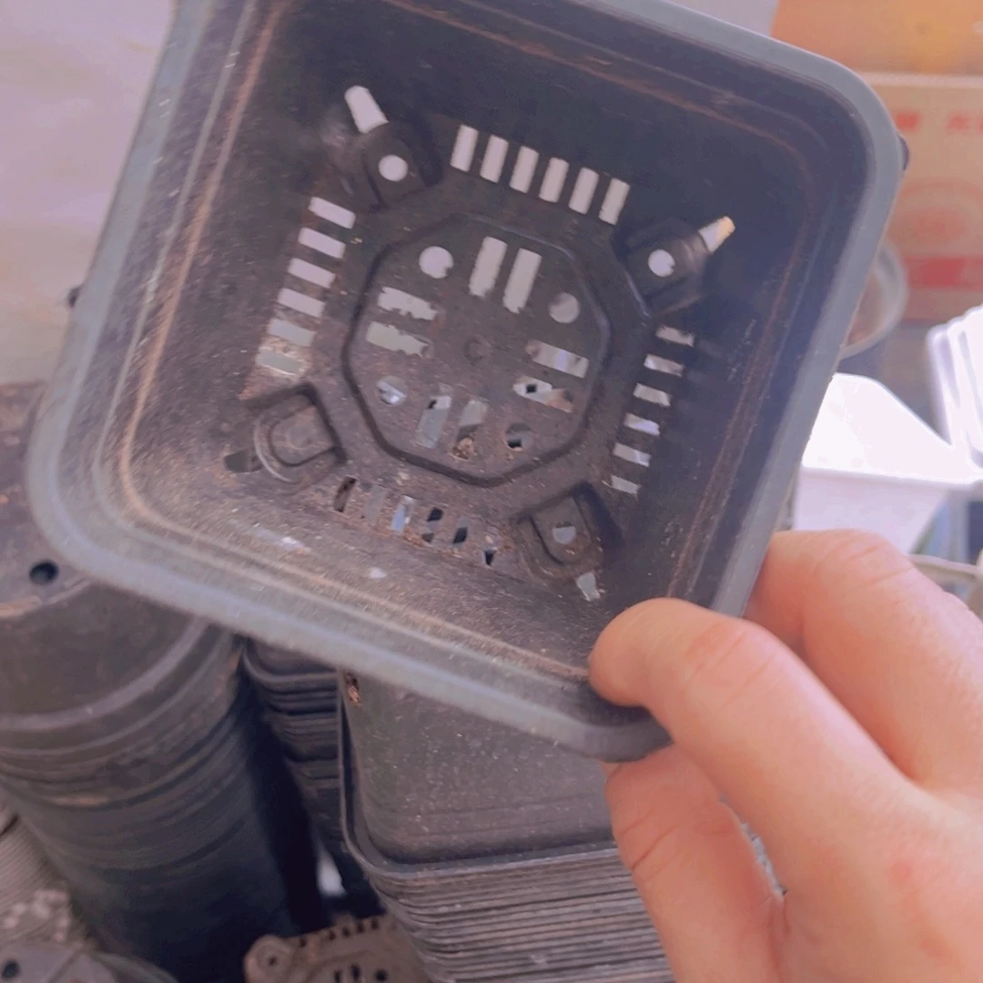 旧口径12 公分黑方盆30个