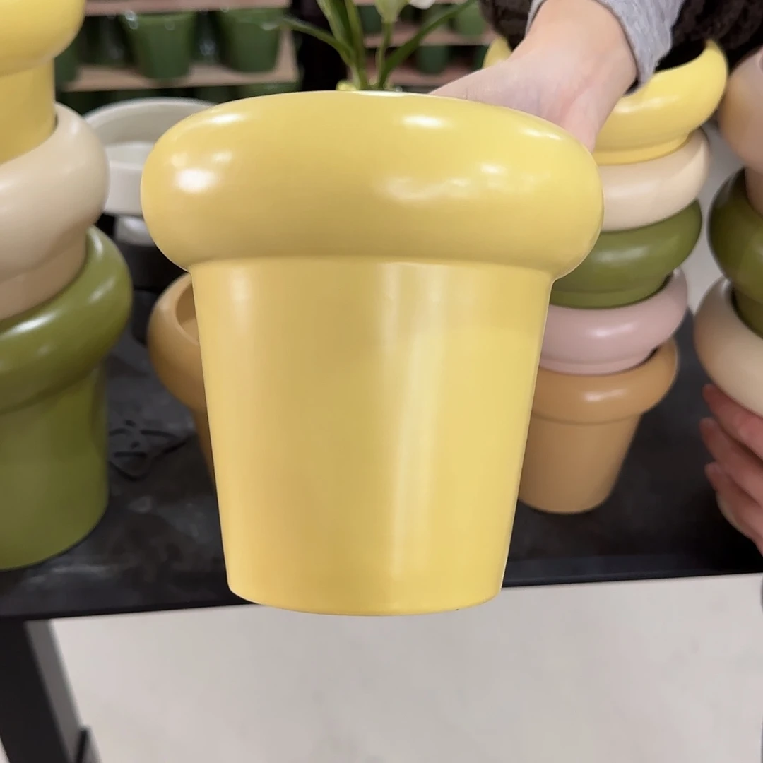 中号花盆花盆花盆