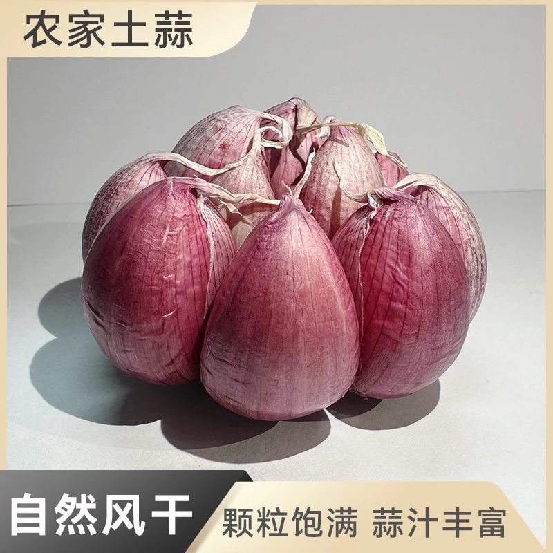 【五斤大果】A十成干蒜头农家自种香蒜土蒜风干紫皮蒜辣味十足3/5斤