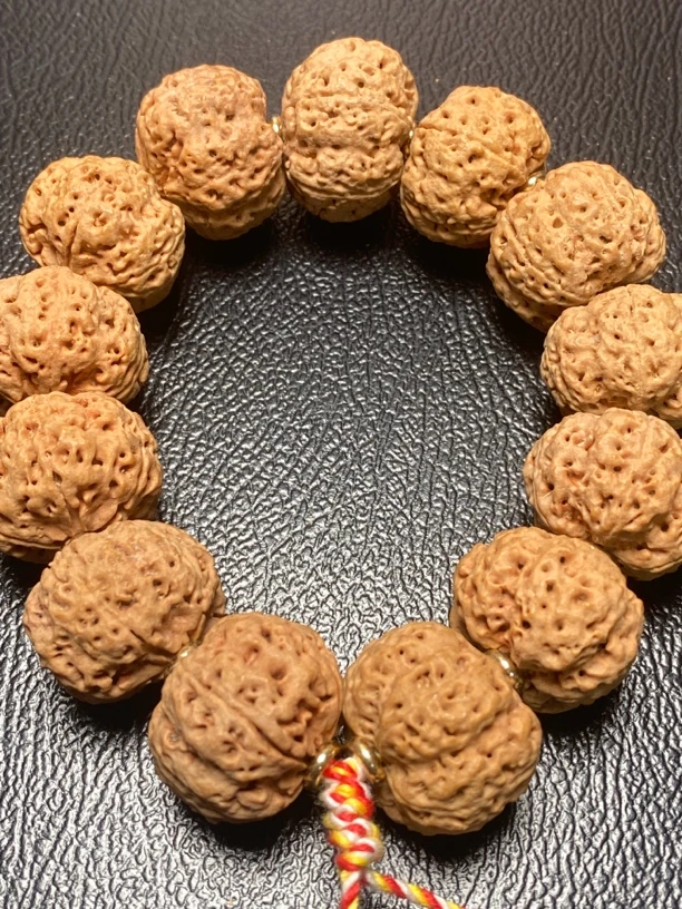 9号粗筋巨肉金刚菩提