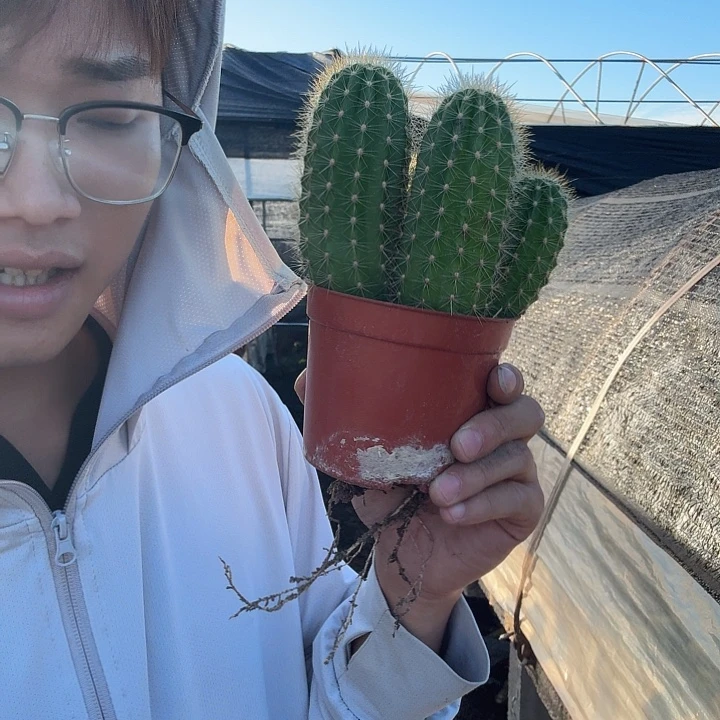 李***华无花朵苏乞儿哈哈哈哈哈哈回家