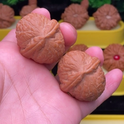 龍****提舍利子36全品11111111