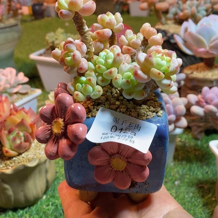 0123啊啊啊啊啊啊啊啊啊
