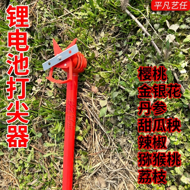 枣  大豆 金银花打尖机