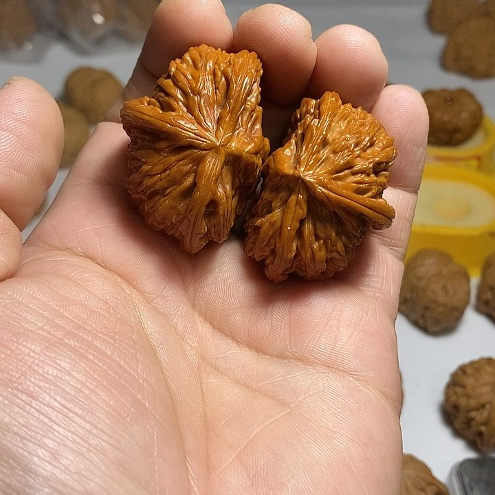 文玩核桃把件b*u65尺，白狮子半壁三棱