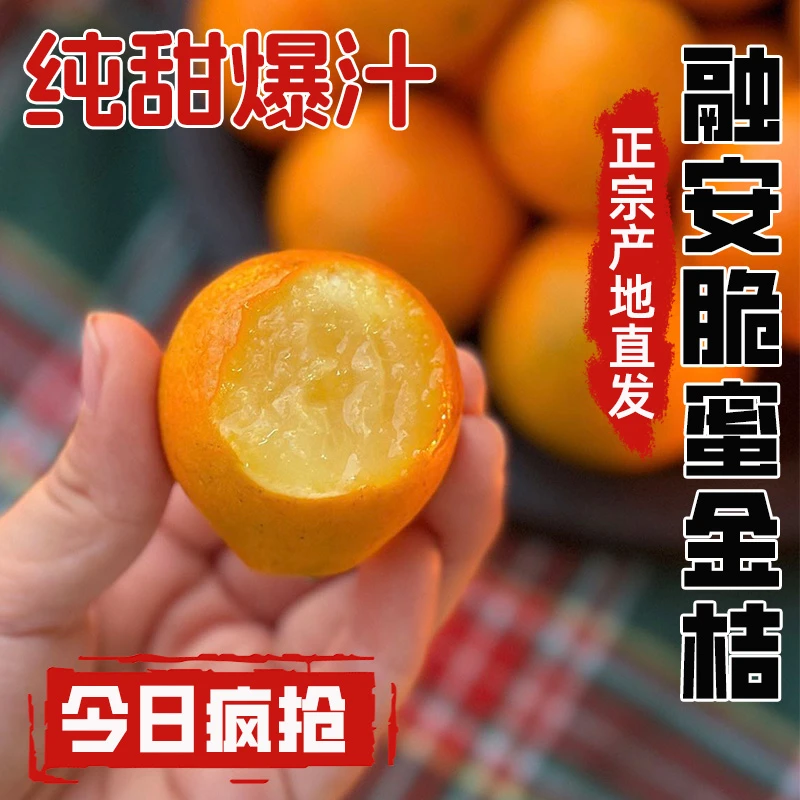 【无敌爆甜】融安脆蜜金桔第三代大果应季水果脆蜜金柑新鲜整箱包邮