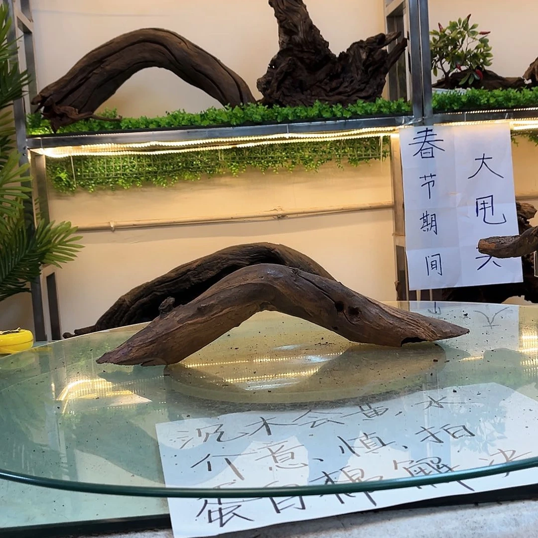 柚木沉木鱼缸造景