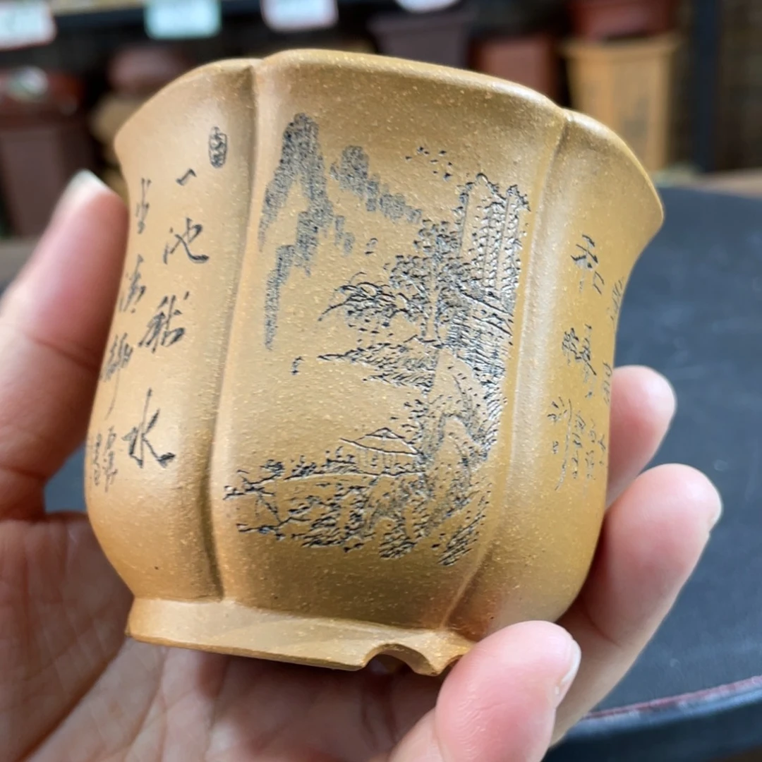 花盆紫砂紫砂花盆在这里